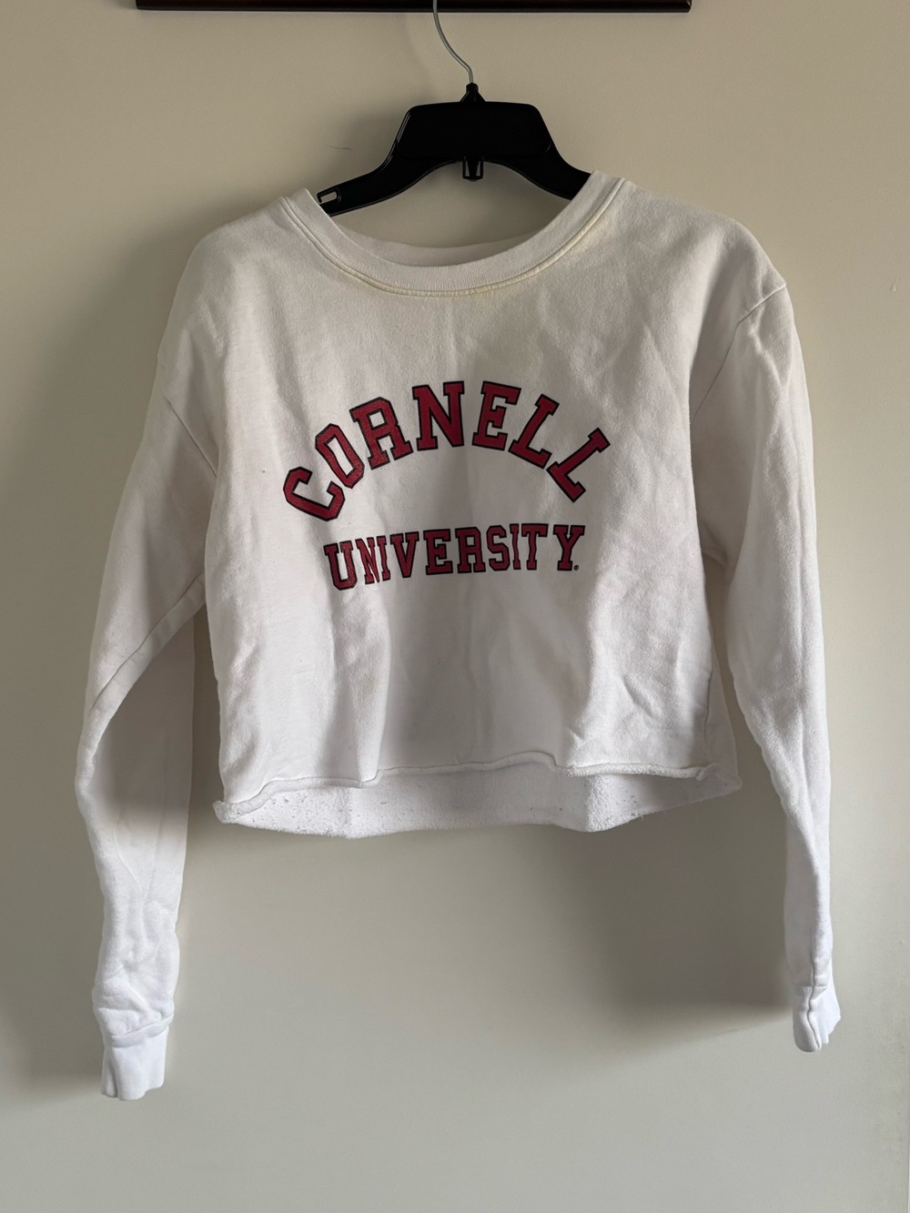 Cornell University sweatshirt